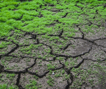 Comment est célébrée la Journée mondiale des sols ?
