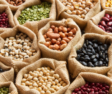 Journée Mondiale des Légumineuses