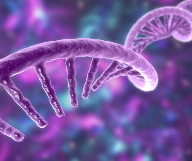 Journée internationale de la diversité biologique