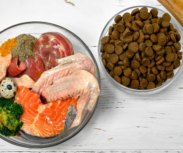 What is the BARF diet? | Works? 