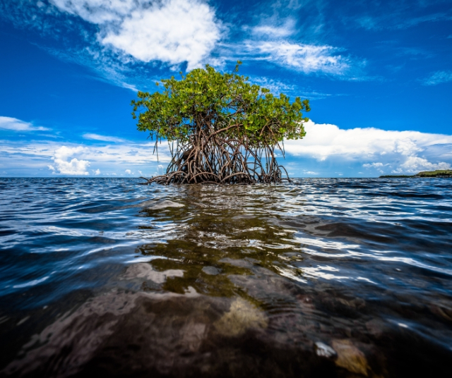 Biodiversité espagnole
