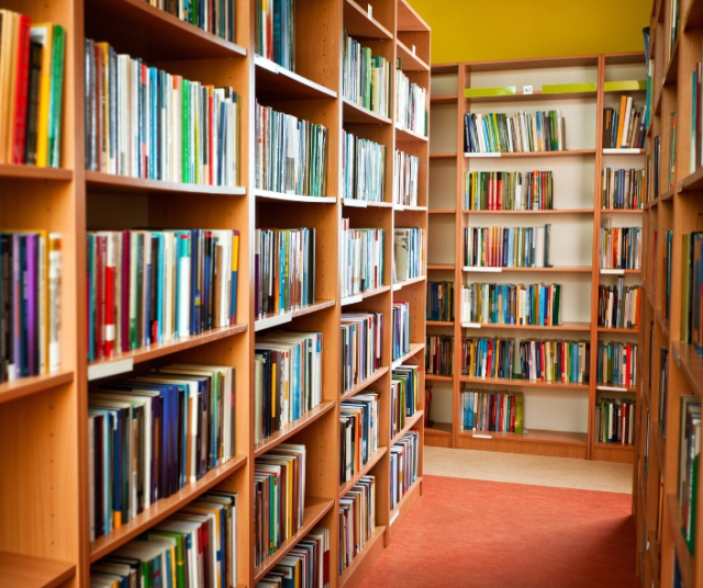 ¿Cómo se celebra el Día de la Biblioteca en España?