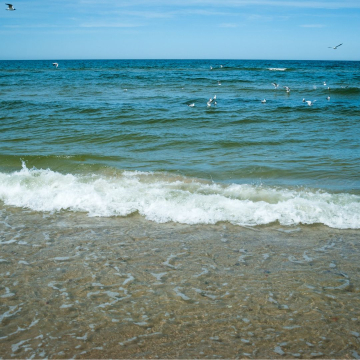 Bienfaits de l'eau de mer salée pour la santé