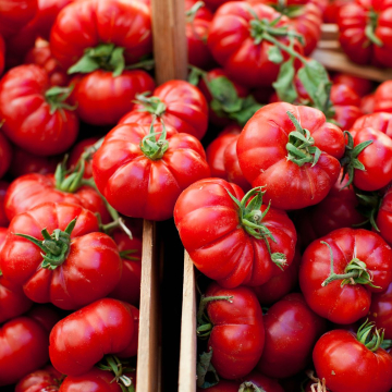 Calendrier des foires et festivals en Espagne