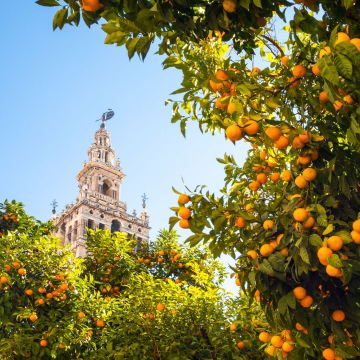 Día de Andalucía, España