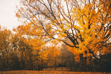 Estaciones del año en España