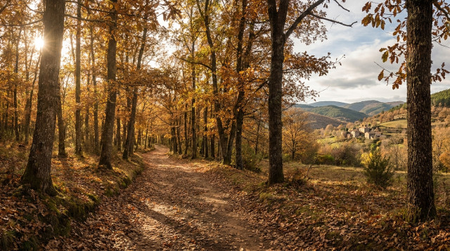 Puente de Todos los Santos: las comunidades con festivo el 2 de noviembre y mejores escapadas