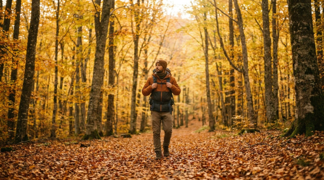 viajero paseando por un bosque de hayas dorado en otoño durante el puente de Todos los Santos