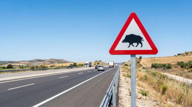 Nuevas señales de la DGT que entran en vigor: multas y cómo te afectan en carretera