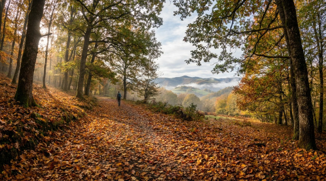 Calendario de festivos y puentes de otoño: los días no laborables que quedan para planificar tus escapadas