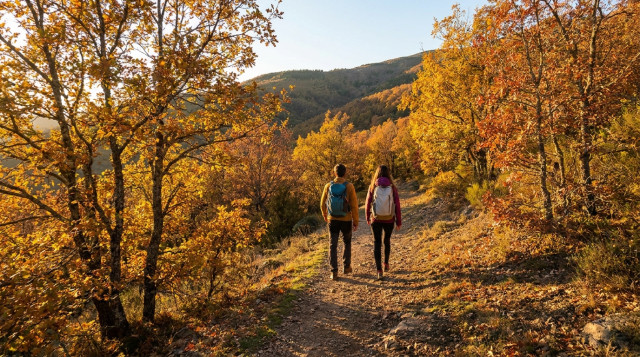 Puente de Todos los Santos: comunidades con festivo el lunes 2 de noviembre y opciones de escapada